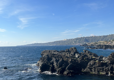 Casa Vacanze Appartamento Ai Piedi Dell'etna Per Gruppi Fino A 20 Persone